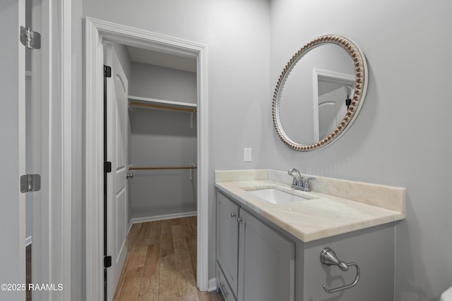 bathroom with hardwood / wood-style flooring and vanity