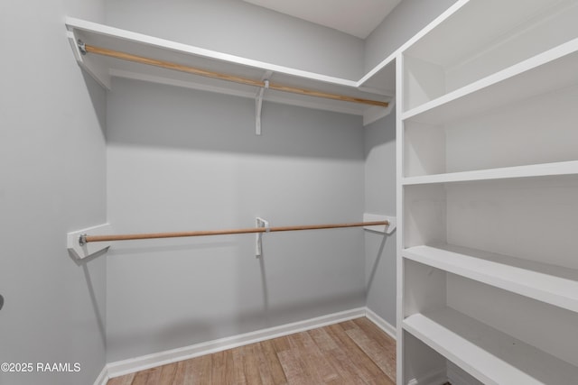 walk in closet with light wood-type flooring