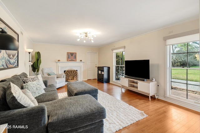 living area featuring ornamental molding, plenty of natural light, and wood finished floors