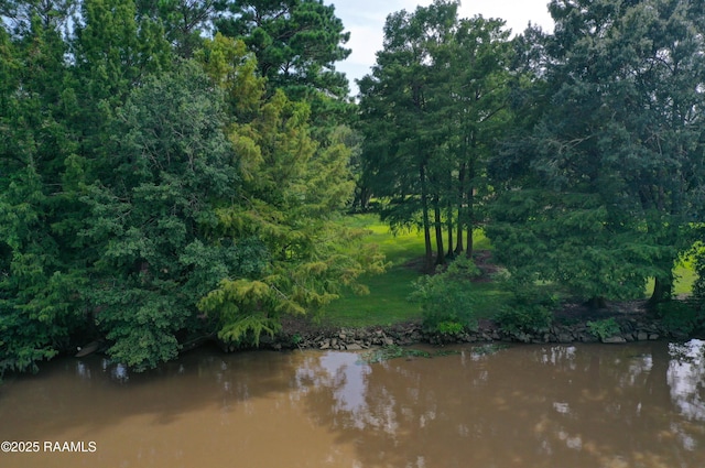 property view of water featuring a forest view