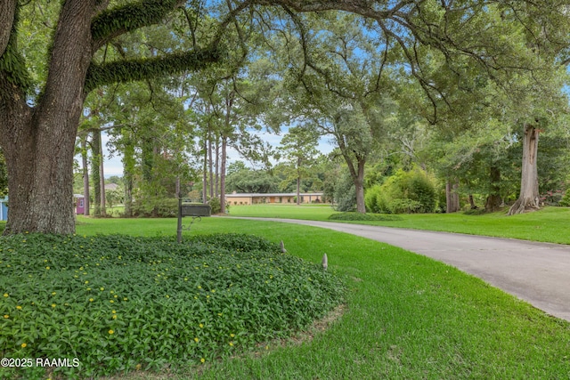 665 E Main St, New Iberia, LA 70560 - photo 2
