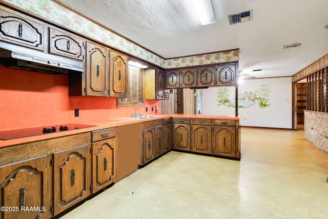 kitchen featuring sink, kitchen peninsula, black electric cooktop, and a textured ceiling