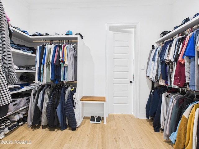 walk in closet with wood finished floors