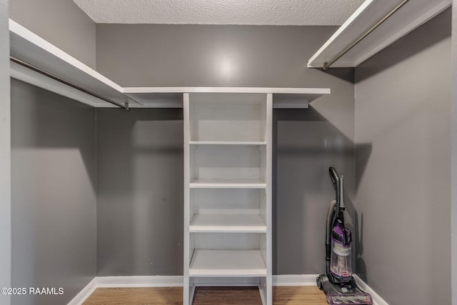 walk in closet featuring wood finished floors