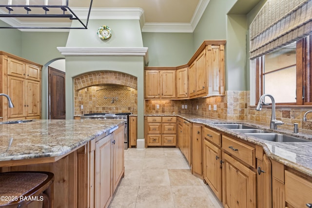 kitchen featuring crown molding, tasteful backsplash, a sink, and light stone countertops