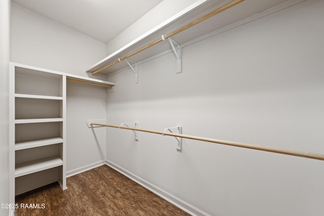 spacious closet featuring dark wood-style flooring and attic access