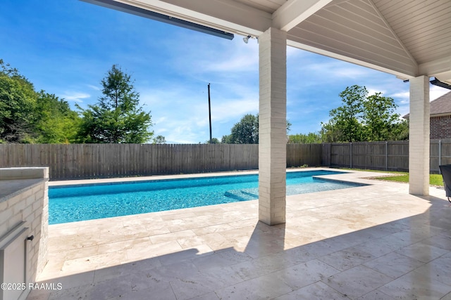 view of pool featuring a fenced in pool, a patio, and a fenced backyard