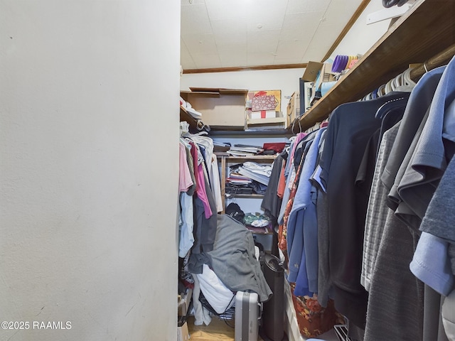 view of spacious closet