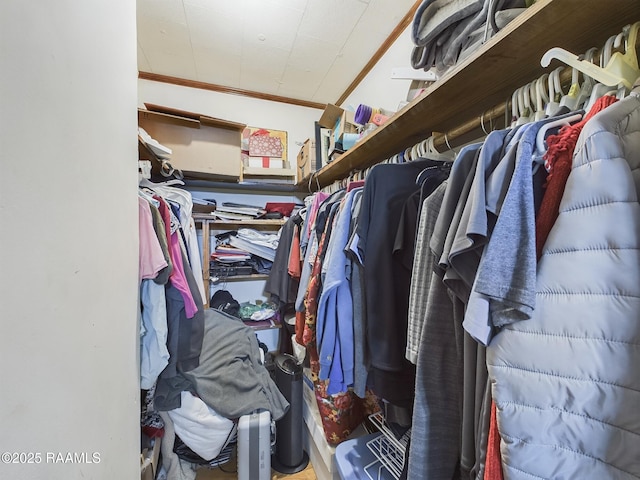 view of spacious closet