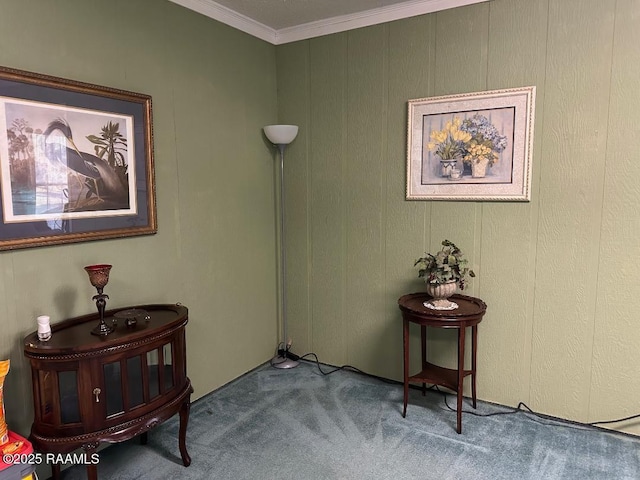 interior space featuring carpet flooring and crown molding