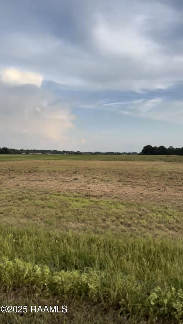 223 Big Leaf Rd, Iota, LA 70543