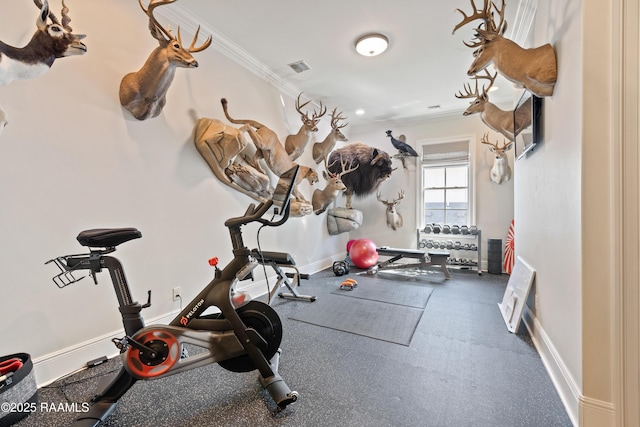 exercise room featuring visible vents, baseboards, and ornamental molding