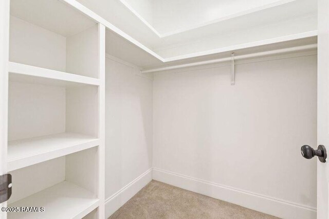 spacious closet featuring carpet flooring