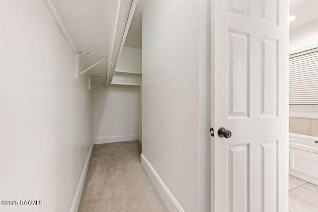 view of spacious closet