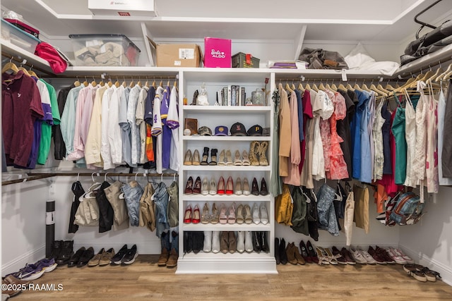 spacious closet featuring wood finished floors