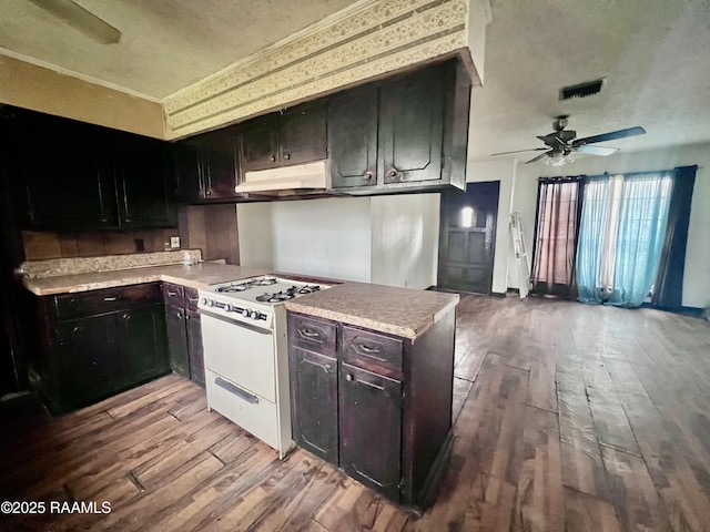 kitchen featuring white range with gas stovetop, visible vents, under cabinet range hood, and wood finished floors