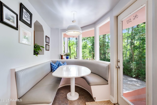 dining space featuring plenty of natural light and breakfast area