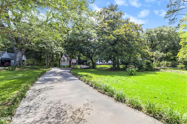 view of community featuring a yard