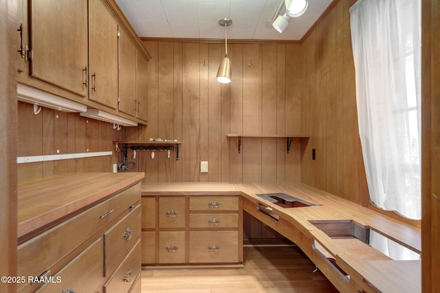 interior space featuring hanging light fixtures, light wood-style floors, light countertops, and wood walls