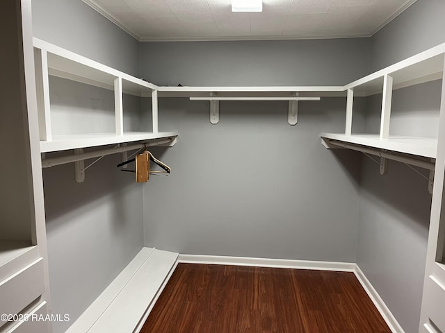 walk in closet featuring wood finished floors