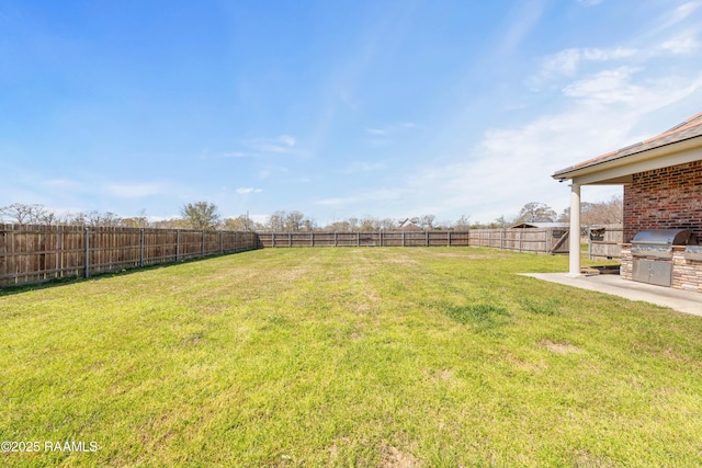 view of yard with a patio area, an outdoor kitchen, and a fenced backyard