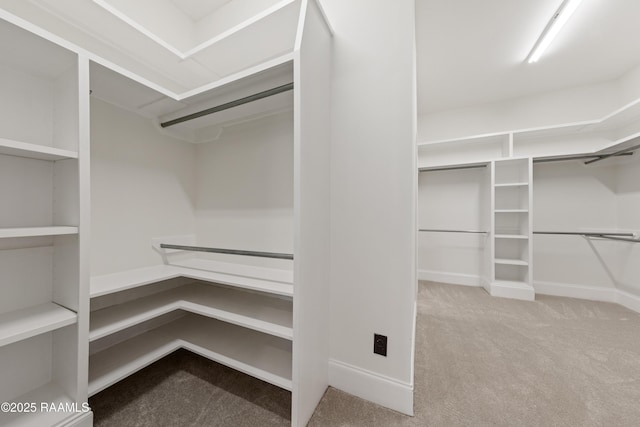 spacious closet featuring carpet flooring