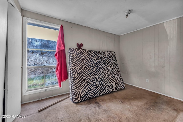 spare room featuring wooden walls and carpet flooring