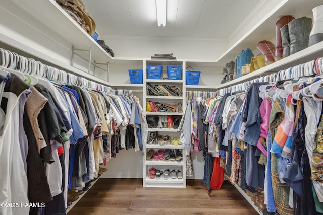 walk in closet with wood finished floors