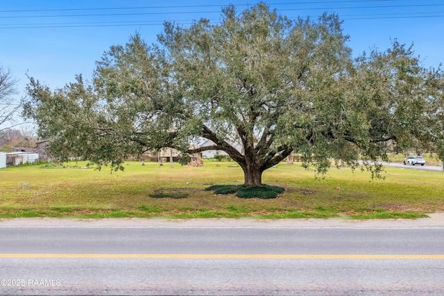 TBD Verot School Rd, Youngsville, LA 70592 - photo 7