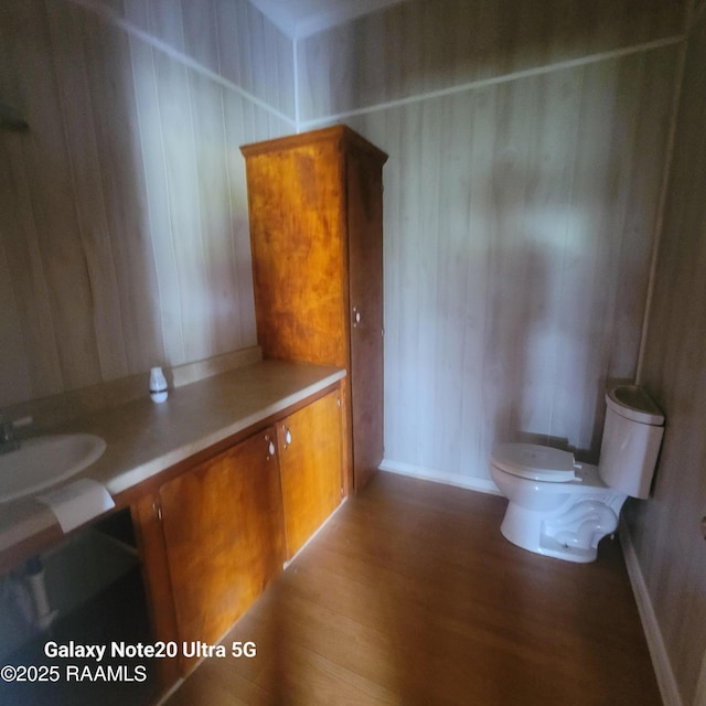 bathroom with a sink, toilet, and wood finished floors