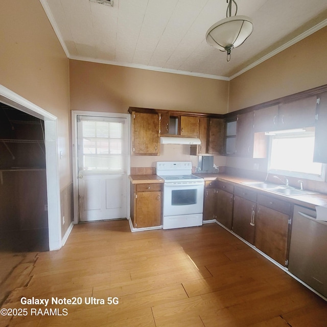 kitchen with under cabinet range hood, a sink, electric stove, stainless steel dishwasher, and light wood-type flooring