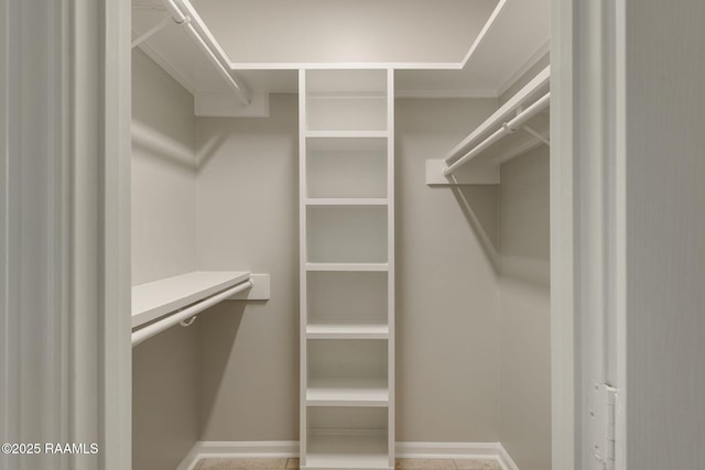 view of spacious closet