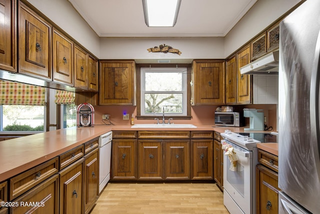 kitchen featuring under cabinet range hood, white appliances, light countertops, and a sink