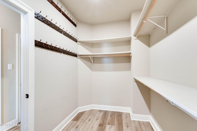 walk in closet featuring light wood-style flooring