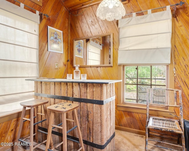 bar featuring a bar, wood walls, and carpet