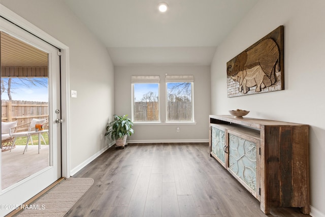 entryway featuring a wealth of natural light, lofted ceiling, and wood finished floors