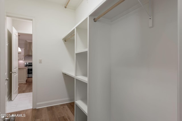 walk in closet featuring wood finished floors