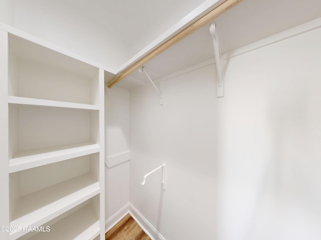 119 Chimney Rock Blvd, Lafayette, LA 70508 - walk in closet with light wood finished floors