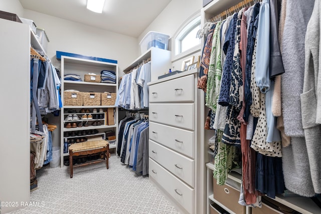 spacious closet with light carpet