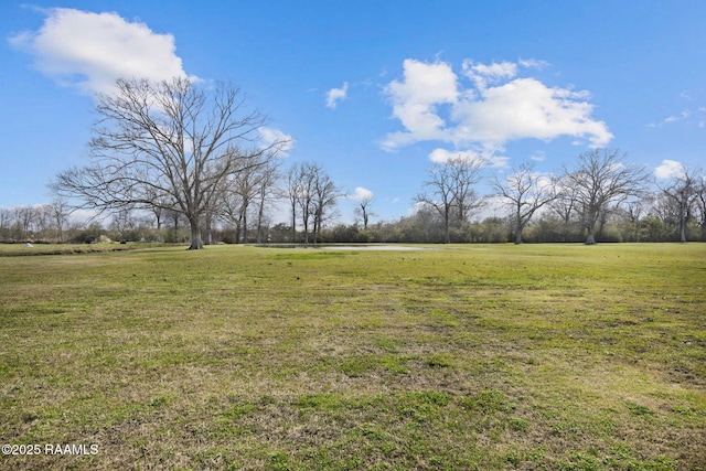 view of yard featuring a rural view