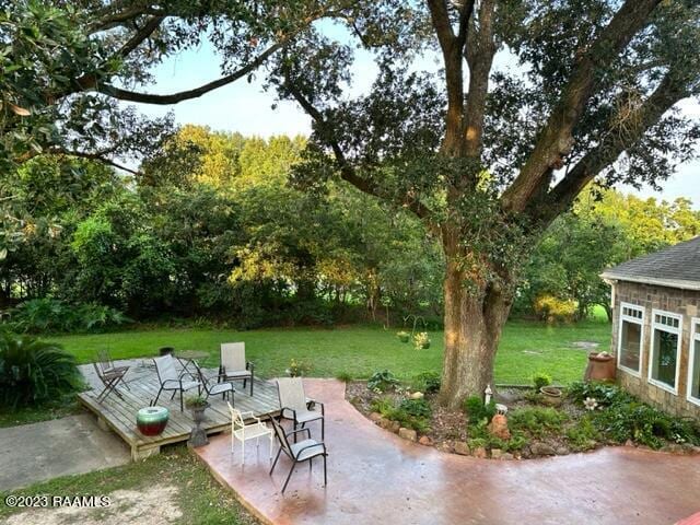 view of yard featuring a patio area