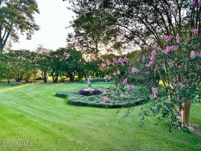 surrounding community featuring a yard