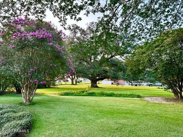 view of property's community with a yard