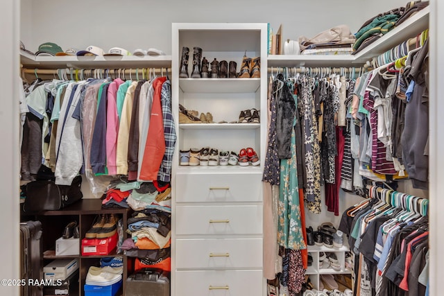 view of spacious closet