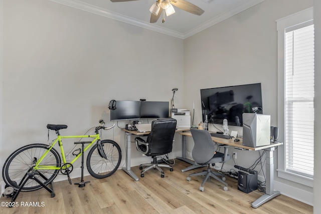 home office with crown molding, a ceiling fan, and wood finished floors