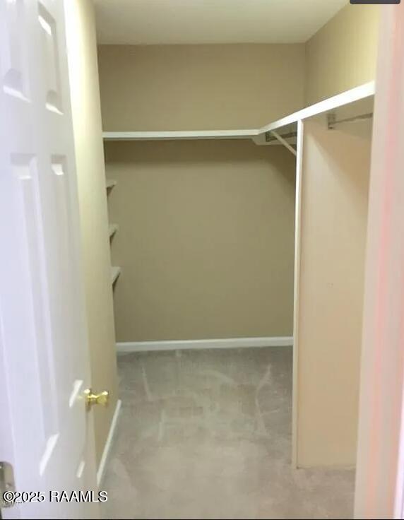 walk in closet with carpet floors