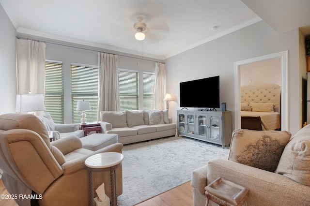 living room featuring a ceiling fan, crown molding, and wood finished floors