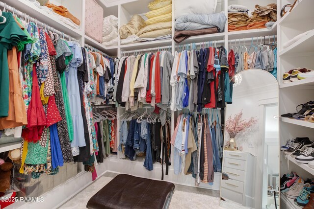 view of walk in closet