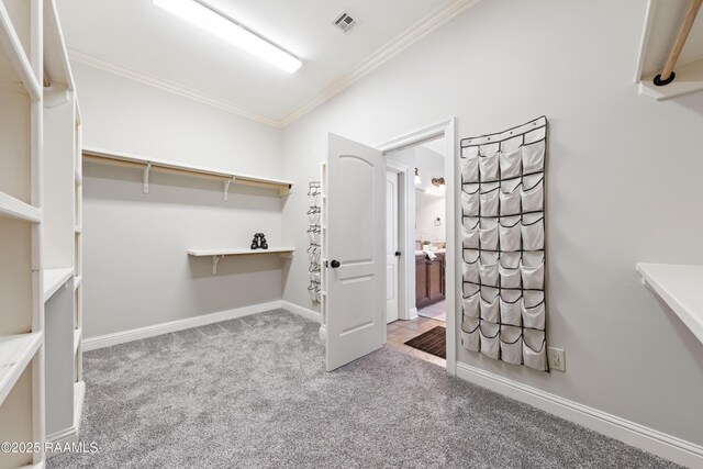 spacious closet featuring visible vents and carpet flooring