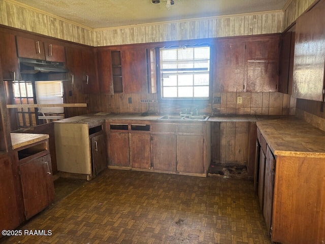 kitchen featuring under cabinet range hood, a textured ceiling, tasteful backsplash, and a sink